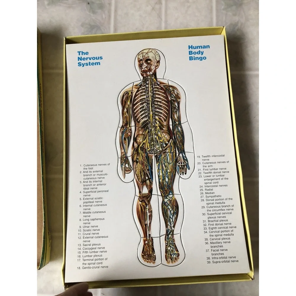 Vintage Human Body‎ Bingo Puzzle , Anatomy Biology Life Science Safari LTD